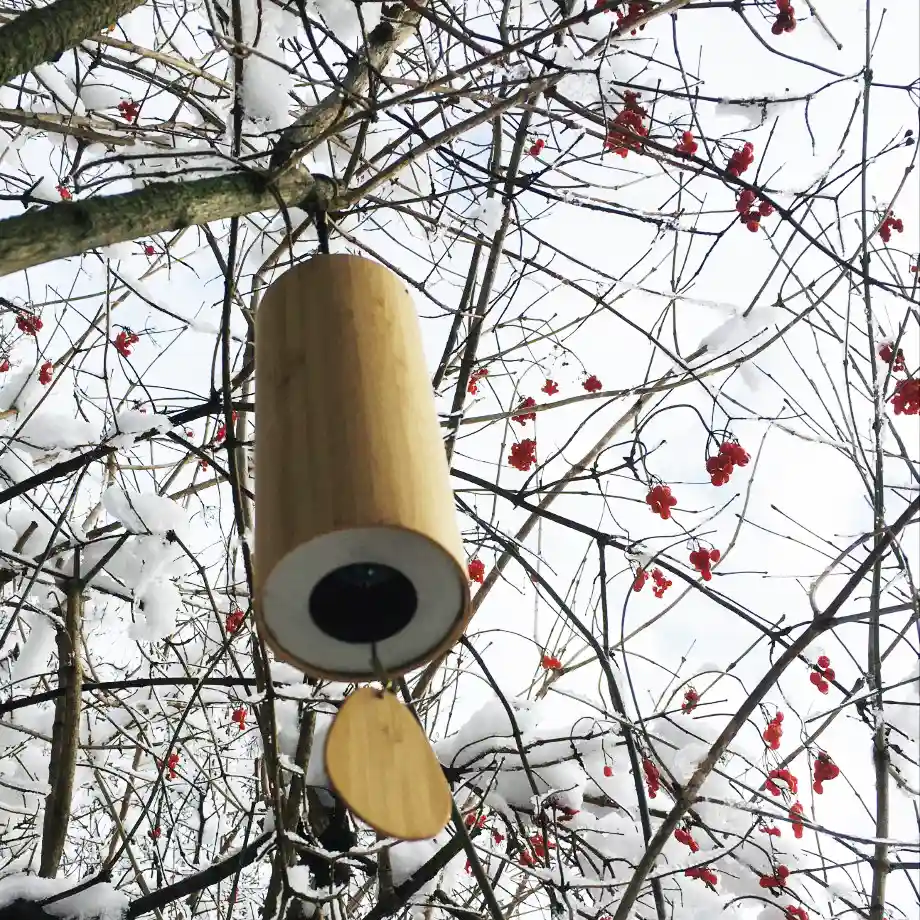 Extérieur - Au Coeur du Soin WEBP